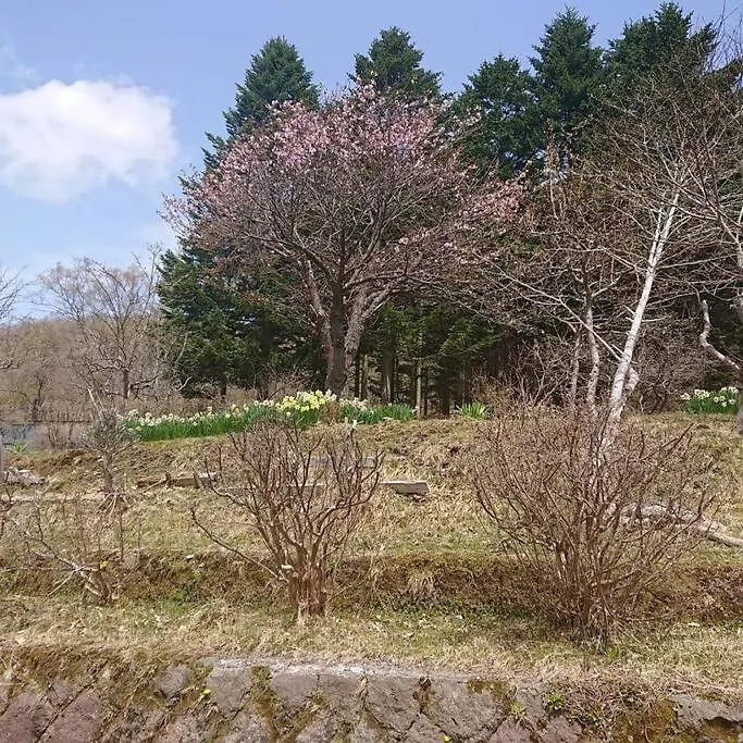 Noboribetsu No Mori 빌라 일본