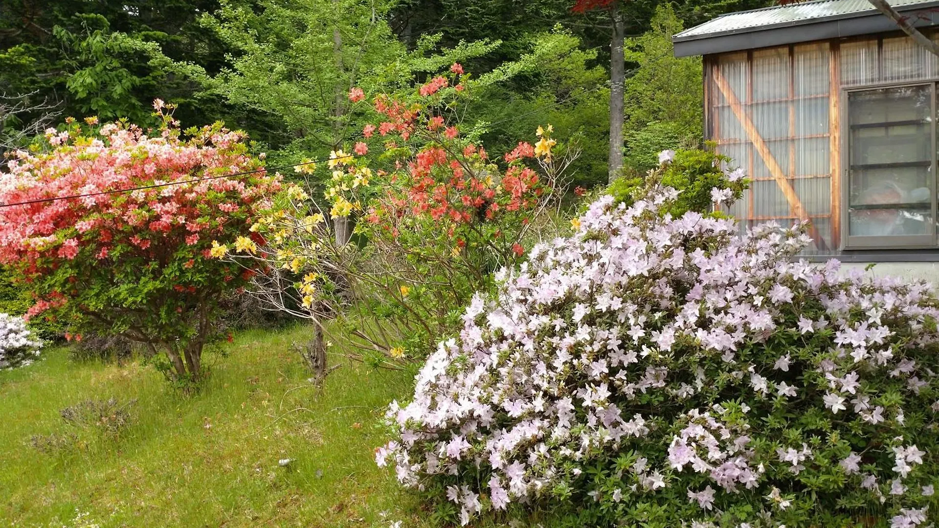 Noboribetsu No Mori 빌라